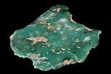 Polished Mtorolite (Chrome Chalcedony) - Zimbabwe #148232-1